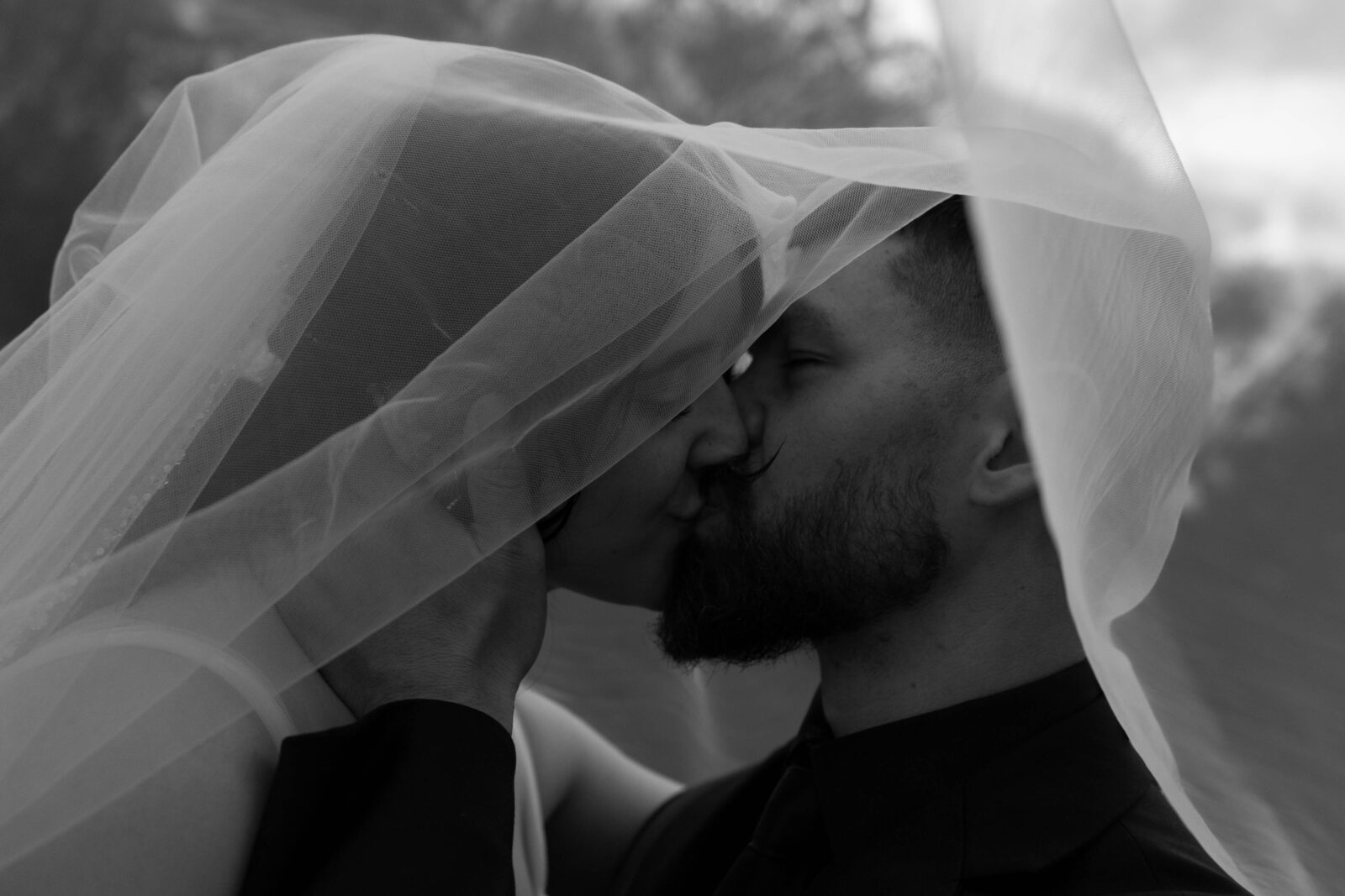 Caitlin and David | New England Wedding Photographer